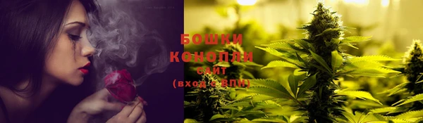 СК Белокуриха