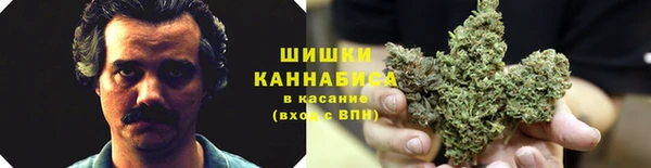 каннабис Беломорск