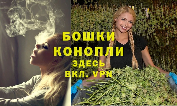 СК Белокуриха
