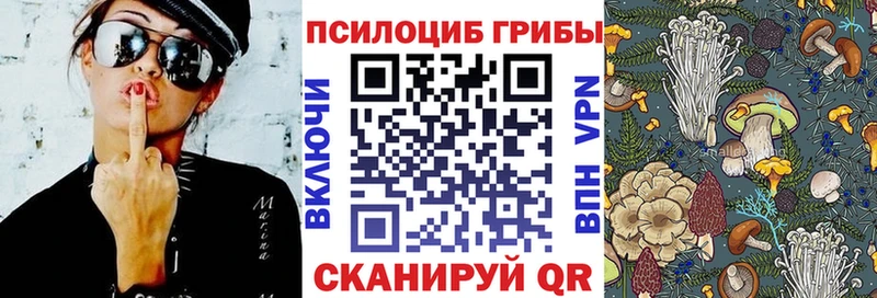 Галлюциногенные грибы Cubensis  наркота  гидра рабочий сайт  Верхотурье 